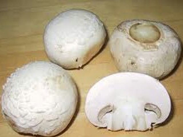 Mushroom