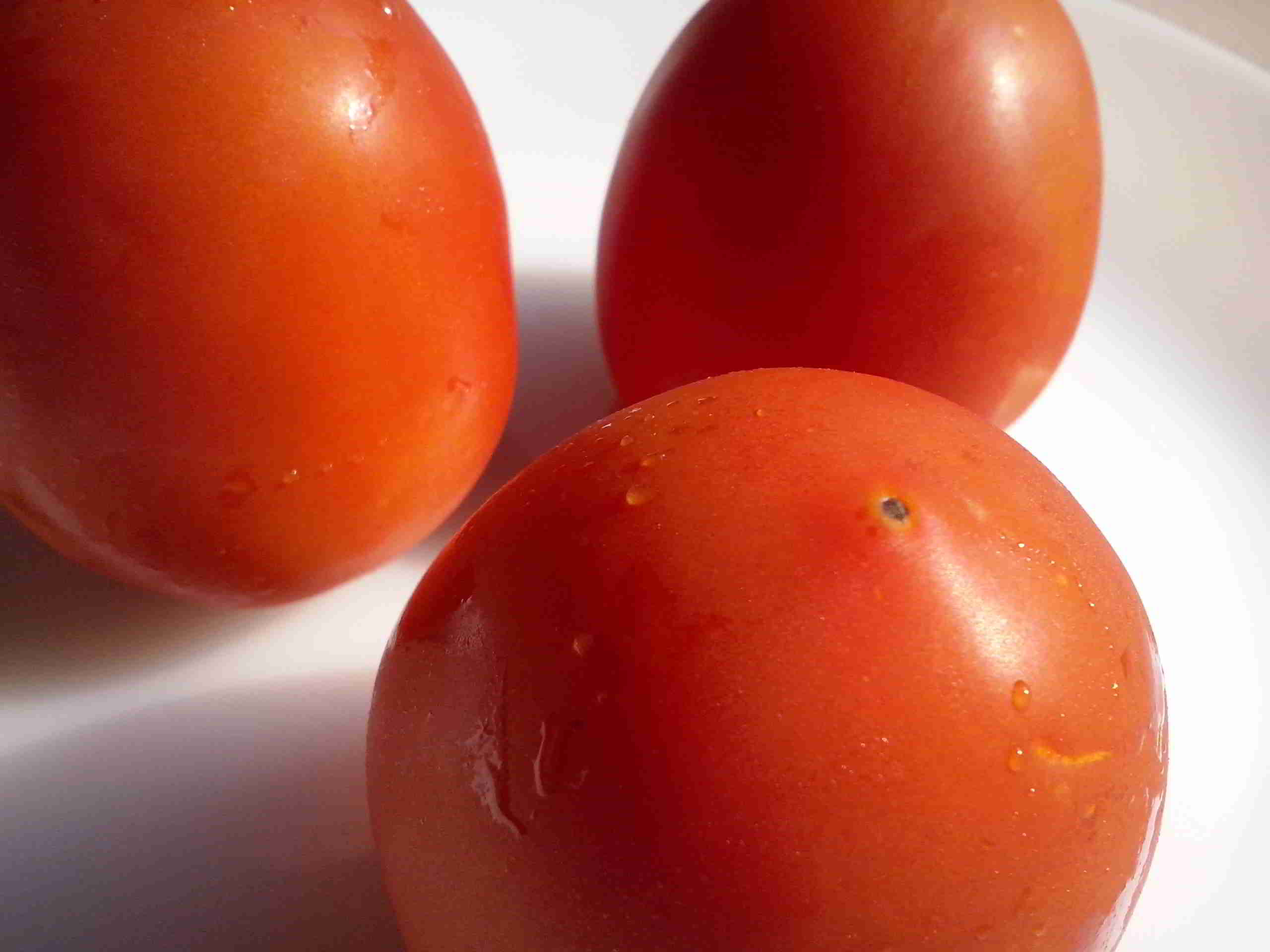 Red Ripe Tomato
