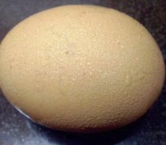 Egg